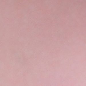 Meet your Posher, Cloe